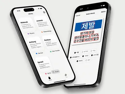 WordSnap - AI Flashcards Maker ai app application chatgpt flashcards ios ipad language learning ui