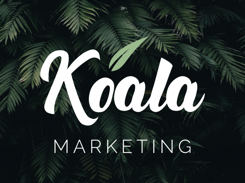 Koala marketing logo animation 2danimation animated logo handwriting logo intro logo animation logomotion анимация логотипа анимированный логотип лого анимация ы