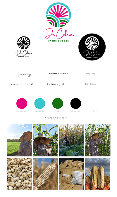 Farm logo + product page concept branding kit graphic design logo