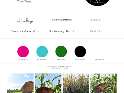 Farm logo + product page concept branding kit graphic design logo