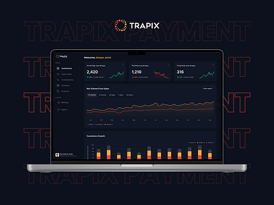 Trapix Payment Dashboard 3d animation branding design graphic design illustration logo motion graphics ui vector