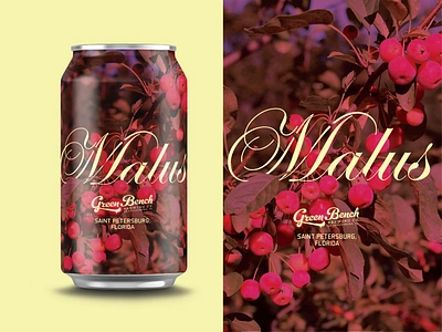 Rejected Cider Can design beer cider design