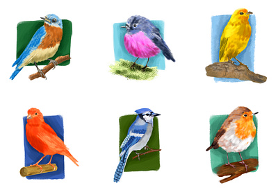 Collection of birds birds bluejay canary colors digital digital brushes digital drawing digital illustration digital painting drawing illustration nature robin vibrant