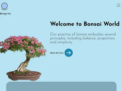 Bonsai Plant bonsai human centric nature plant ui uiux visual