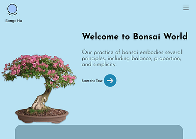 Bonsai Plant bonsai human centric nature plant ui uiux visual