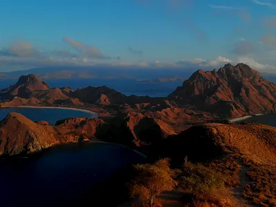 Video Template 3d animation branding design graphic design illustration logo motion graphics ui vector