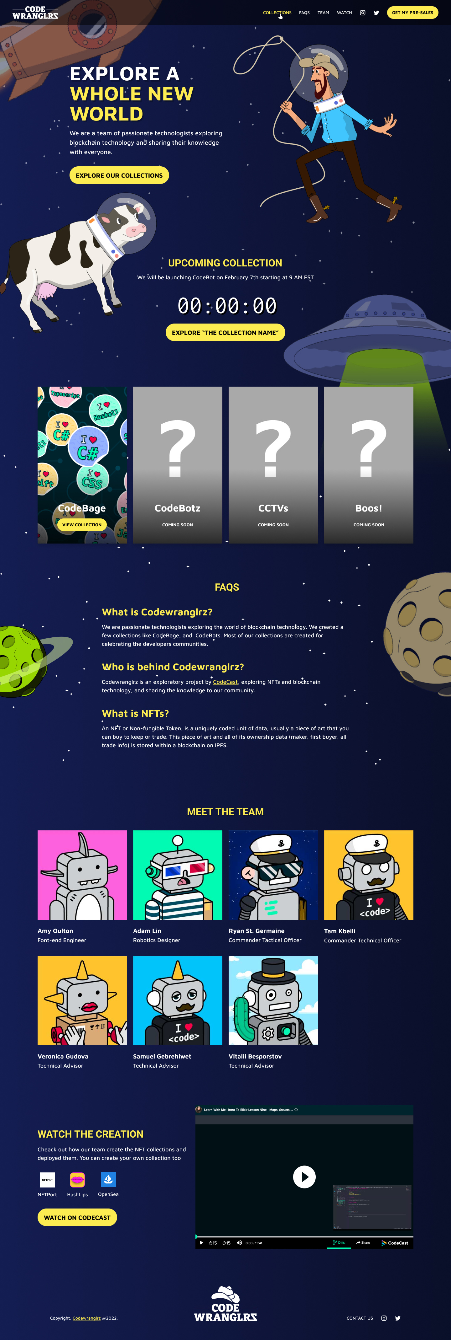 Codewranglrz - NFT one Pager illustration web design