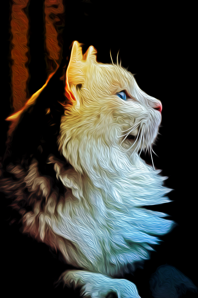 Oil Painted Cat - Adobe Photoshop adobe design adobe photoshop aesthetic cat cat imagr design gradient gradient image graphic design idn idn boarding school idn bs solo image image editing image manipulation lighting oil painting