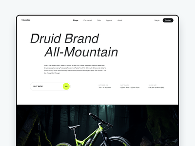 Druid brand All-Mountain color design page ui ux web web design web page