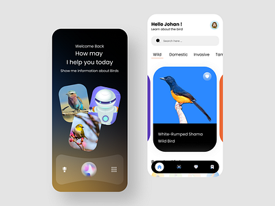 Birds information AI concept app ai technology app bird information birds save minimal design ui