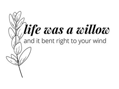 "Willow" lyrics by TS lyrics taylor swift typography willow lyrics