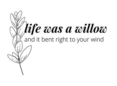 "Willow" lyrics by TS lyrics taylor swift typography willow lyrics