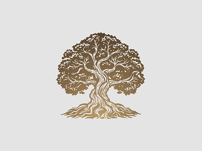 Gold tree engraving gold illustration logo logotype nature oak tree