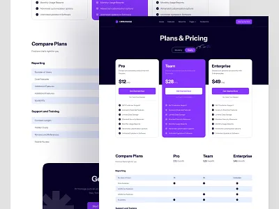 Pricing Page UI Design branding design eliteflow illustration landing page logo pricing pricing page pricing ui ui web design webflow webflow template