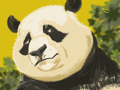 Panda animal brushes china digitalart drawing illustration illustrator panda photoshop