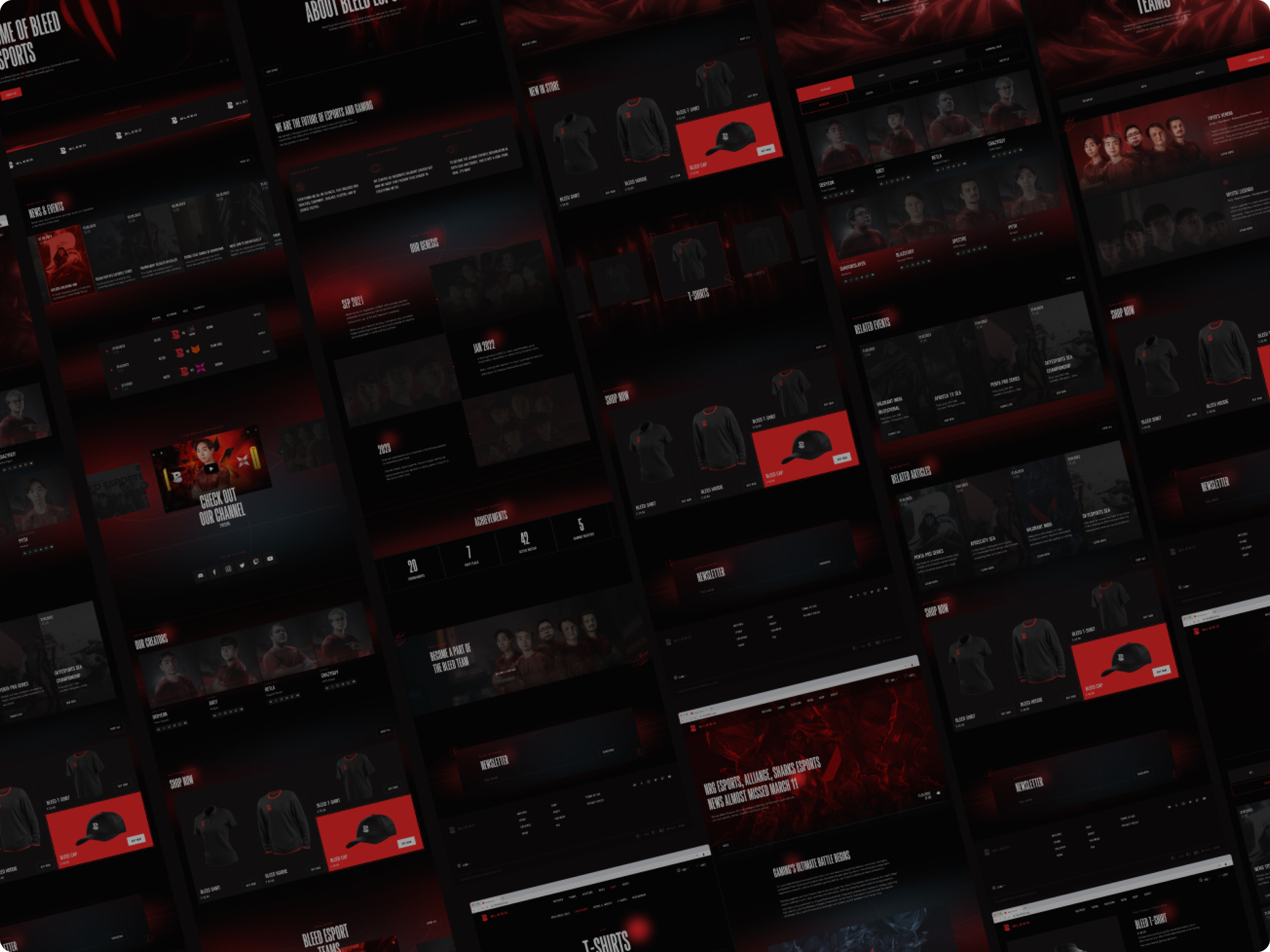 Example of Website Design (10 Pages)