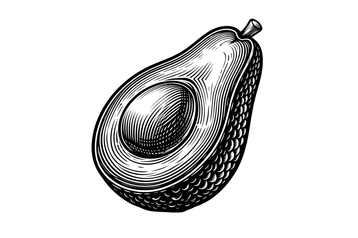 Avocado SVG by Artful Assetsy on Dribbble