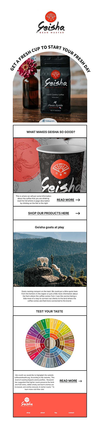 Newsletter Design Geisha Coffee newsletter newsletter design