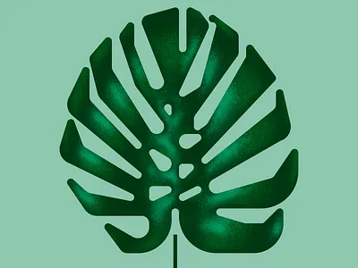 Monstera 100 day project daily houseplant illustration leaf monstera plant texture vector