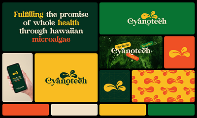 Cyanotech- Logo & Brand Identity Design adobe branding design graphic design logo typography vector