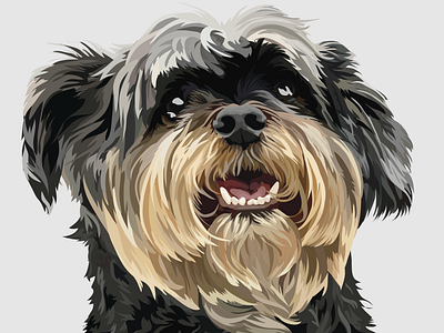 Jimmy! adobeillustrator customportrait dogportrait dogs illustration vector