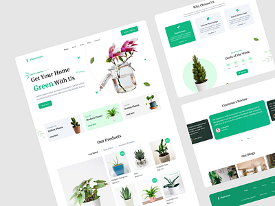 Indoor Plants E-Commerce Website Landing Page e commerce figma indoor plants landing page minimal design plant store ui ui ux visual design web design