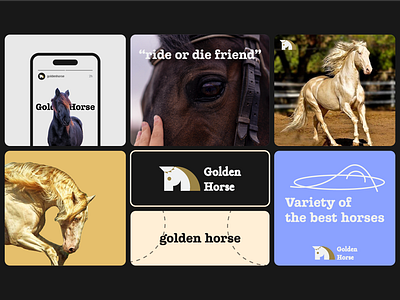 Golden horse 🐴 ai app brand branding create logo design design logo graphic design illustration logo logo design ui ux vector web web3 website