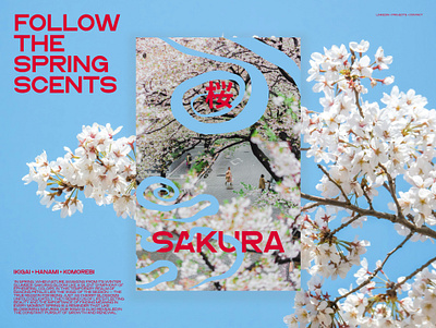 Daily Ui design concept project aroma blue flower flowers sakura scent sky spring white white flower