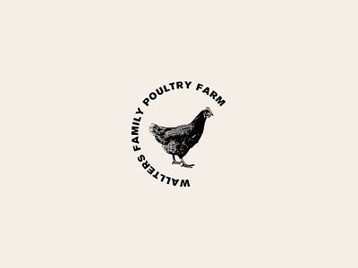 Chicken logo black branding chicken circle company cosmodrome art creative design farm graphic design illustration logo logofolio malina cosmica modern portfolio poultry sale vector vintage