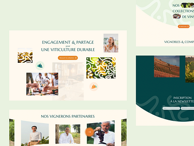 Website pages for Vignobles & Compagnie branding design graphic design illustration logo typography ui ux vector website