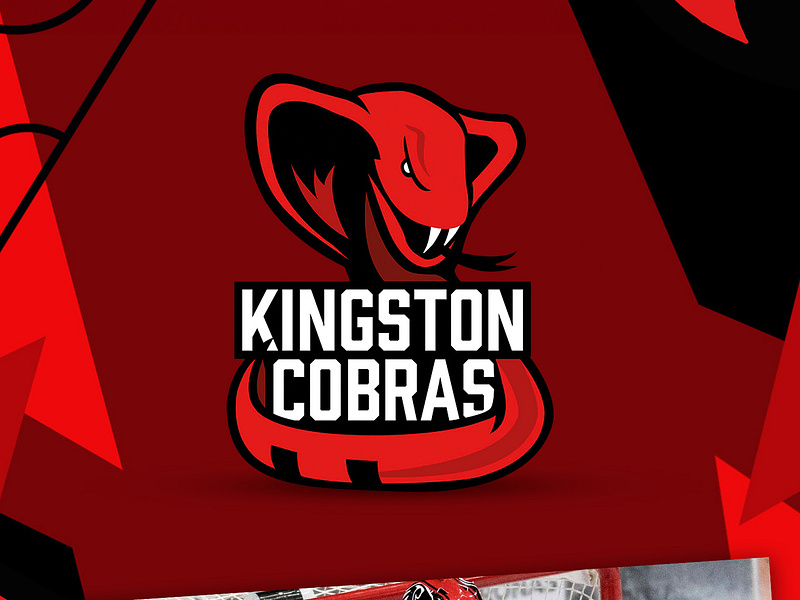 Kingston Cobras | Branding branding design digitalillustration graphic design icehockey illustration illustrator logo logodesign rebrand sportslogo