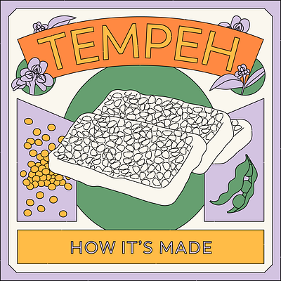 Tempeh – How it's Made illustration vector