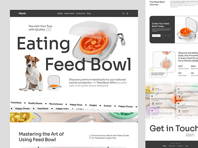 Pet Feed Bowl Selling Web Design feed bowl pet bowl pet care pet care grooming pet ecommerce pet food pet product pet store pet website sales design shopify website wordpress website design