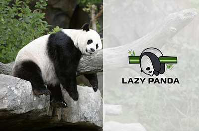 LAZY PANDA branding design graphic design illustration logo logo and branding logodesign logos panda ui ux vector