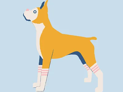 Tube Socks Dog design dog illustration socks tube socks vector