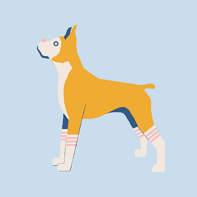 Tube Socks Dog design dog illustration socks tube socks vector