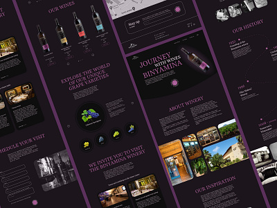 Winery landing Page concept design grape homepage landing main page ui ux web web design webdising website wine winemaker winery