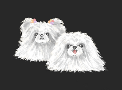White Pekinese animal character dog illustration pet puppy