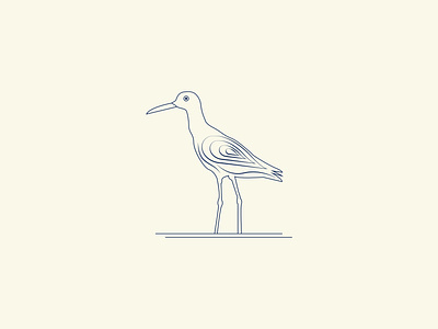 Bird Logo bird logo branding brid icon creative logo design graphic design illustration logo logo design minimal logo modern logo