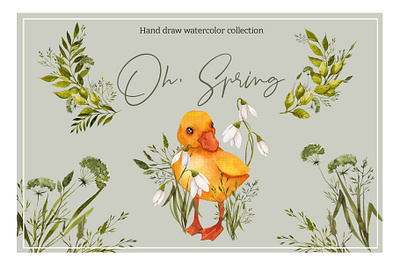 Oh, spring. Watercolor hand draw collection. animals baby cute duck flowers hand draw lamb spring watercolor