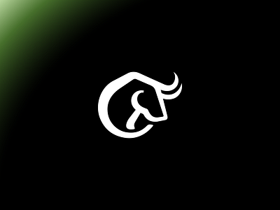 Bull logo branding graphic design logo
