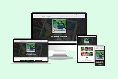 Elementor WooCommerce Website elementor website