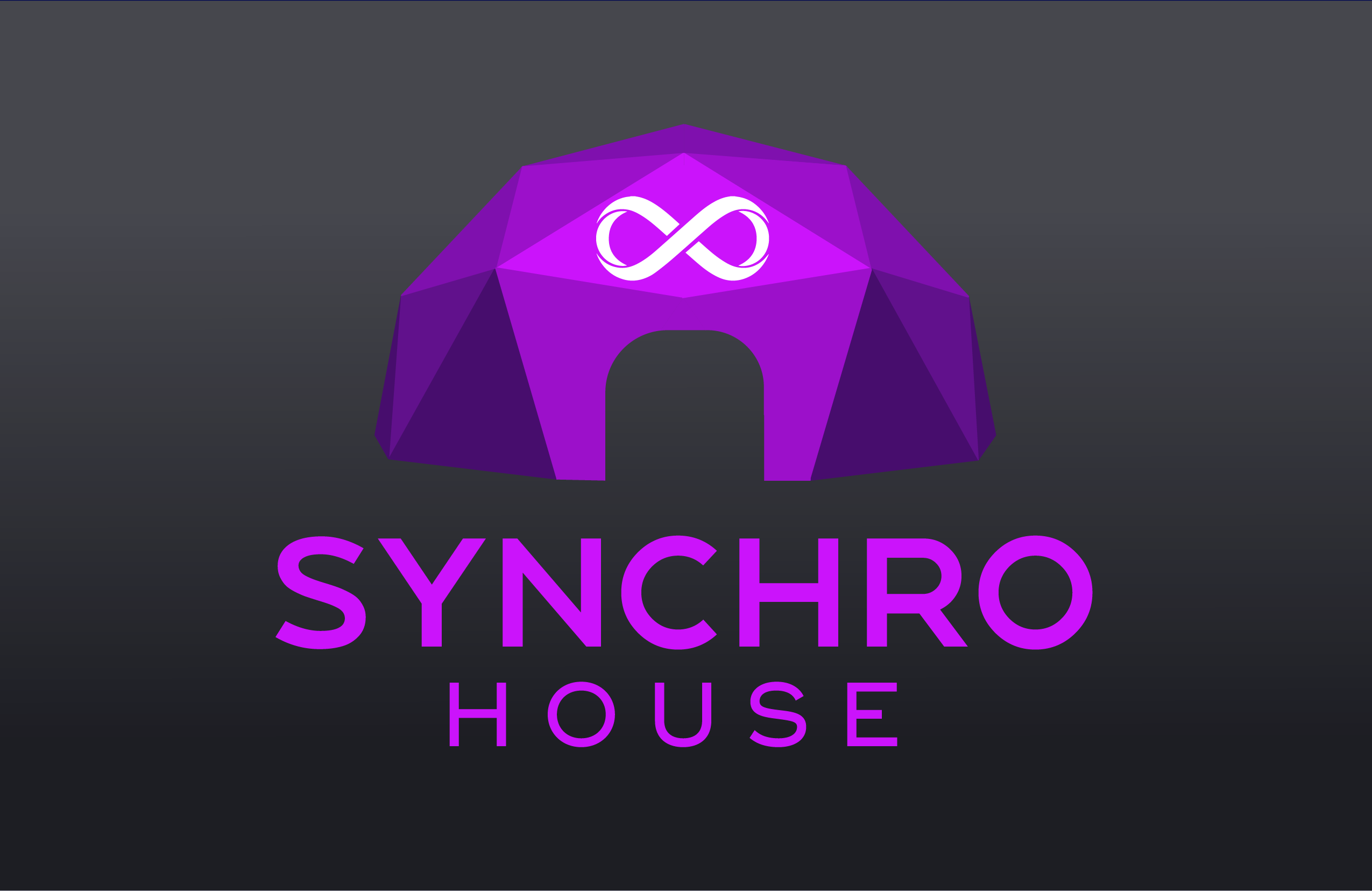 Synchro-House Logo brandbook branding graphic design logo rebranding