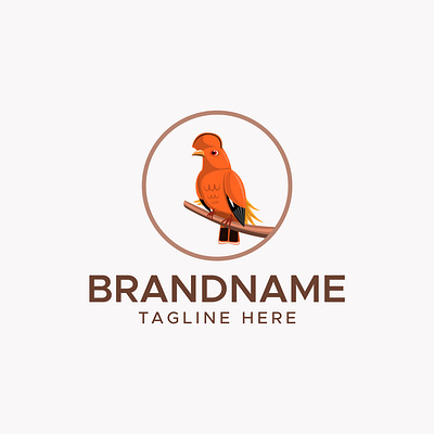 Exotic Bird Logo Design birdexotic brand identity company exotic logo design logotype modern ui