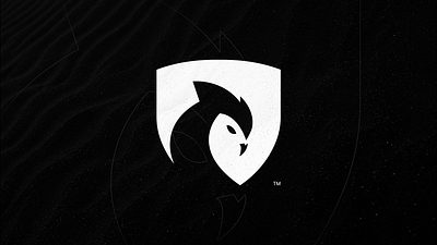 OwlVPN - Modern, Futuristic, Security, VPN Logo animation branding graphic design logo owl security vector vpn