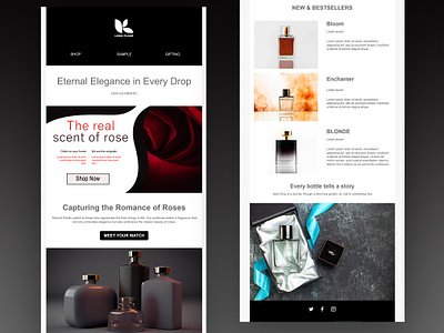 Email Design branding design email email copy email design email designs email marketing email template email templates graphic design newsletter newsletters perfume perfume brand