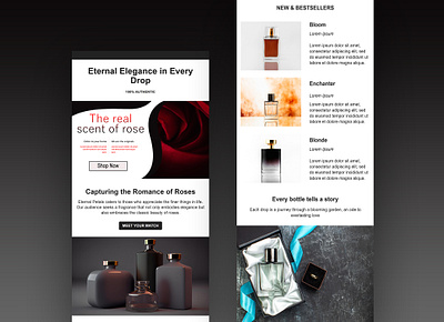 Perfume Brand Email Design email email design email marketing email template klaviyo mailchimp newsletter design perfume brand email