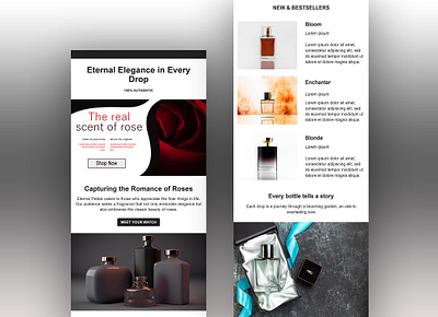 Perfume Brand Email Design email email design email marketing email template klaviyo mailchimp newsletter design perfume brand email