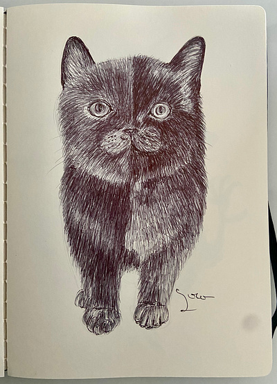 Ballpen Cat 🐈 🐈‍⬛ ballpen cat cats design drawing illustration sketch