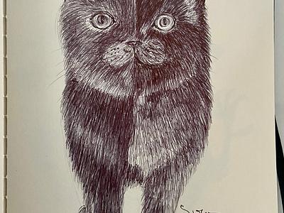 Ballpen Cat 🐈 🐈‍⬛ ballpen cat cats design drawing illustration sketch